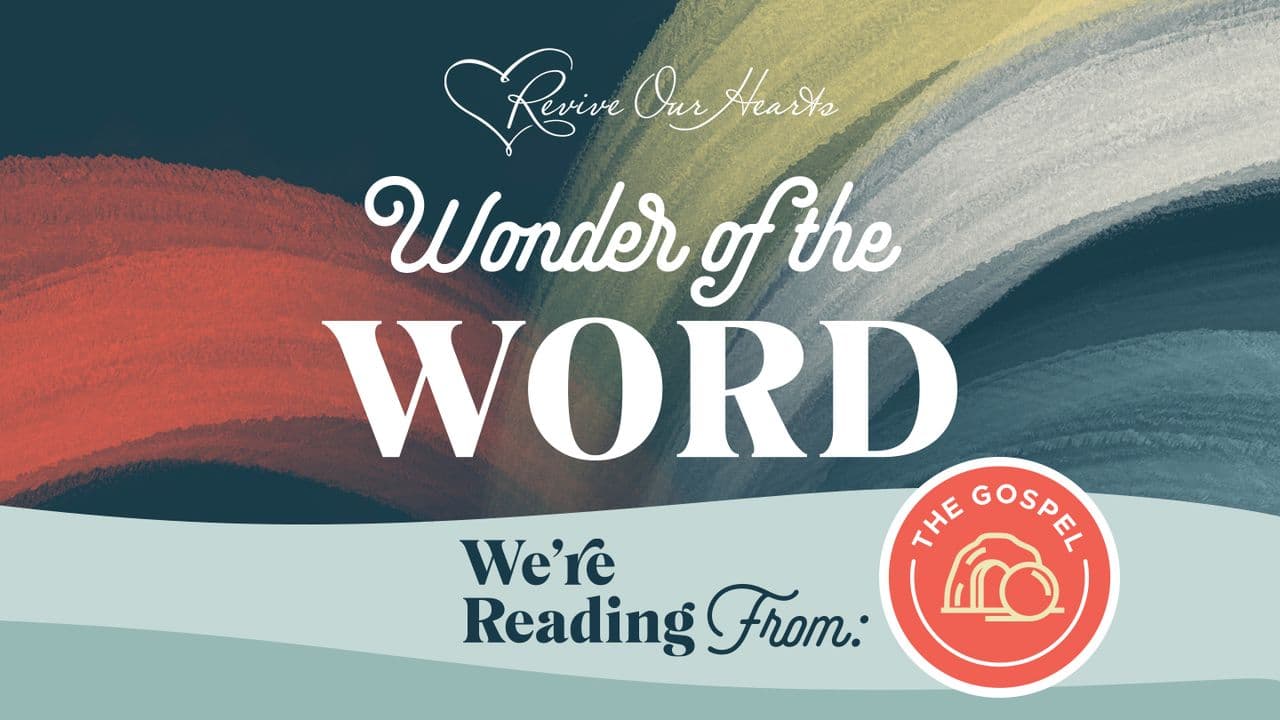 Wonder of the Word: The Gospel & the Wonder of God's Love (Vol.5 - Matthew - Acts)