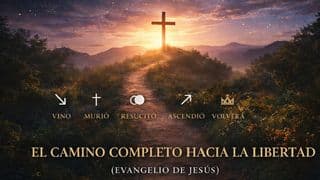 El Camino Completo Hacia La Libertad