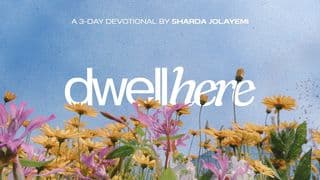 Dwell Here
