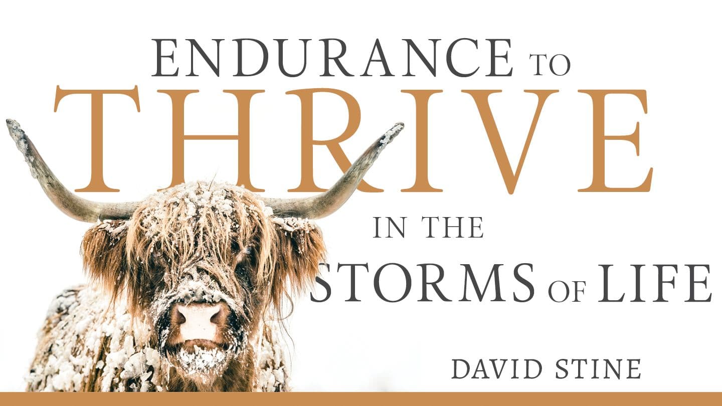 Endurance to Thrive in the Storms of Life