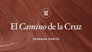 Semana Santa: El Camino de la Cruz