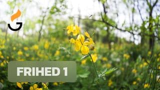 Frihed 1
