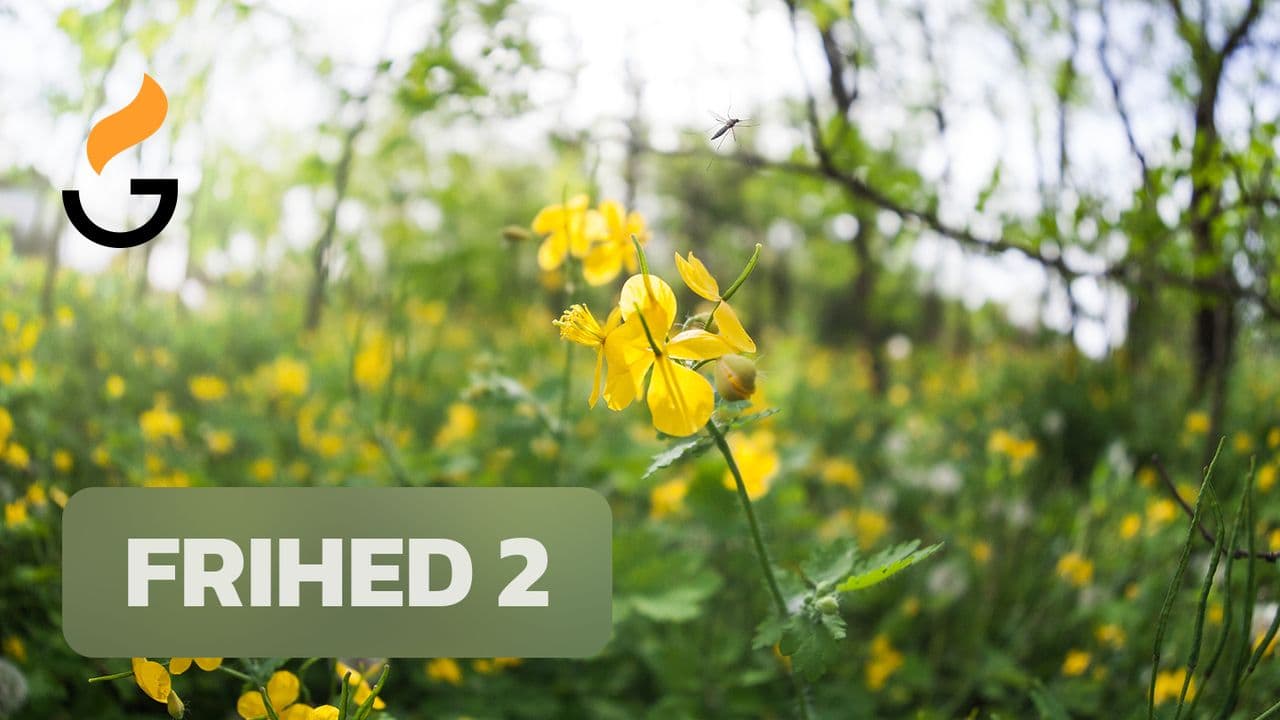 Frihed 2