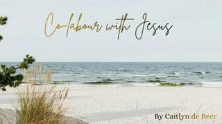 Co-Labour With Jesus