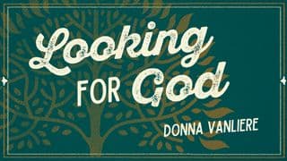 Looking for God