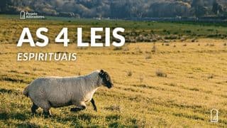 As Quatro Leis Espirituais