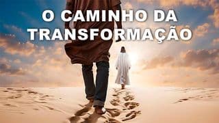 O Caminho da Transformação