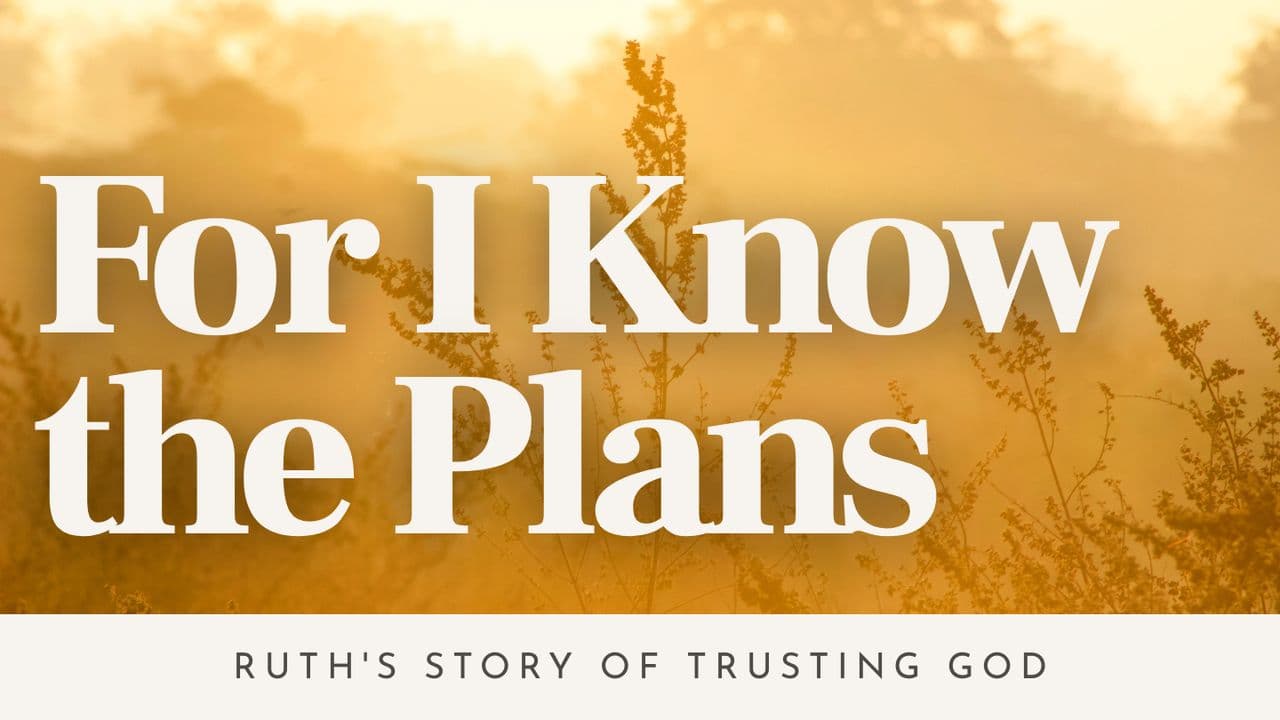 For I Know the Plans