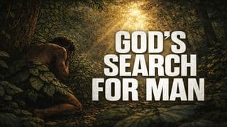 God's Search for Man -- 3 Questions That Change Everything