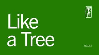 Like a Tree – Devotional