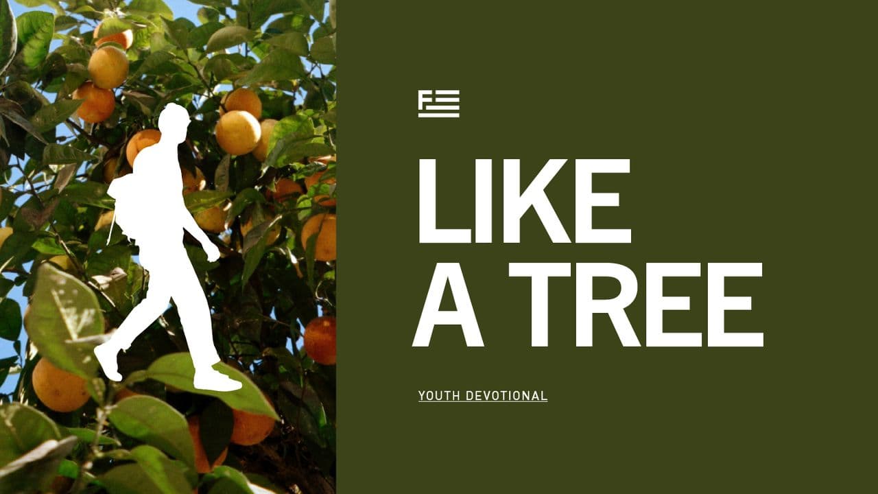 Like a Tree - Youth Devotional