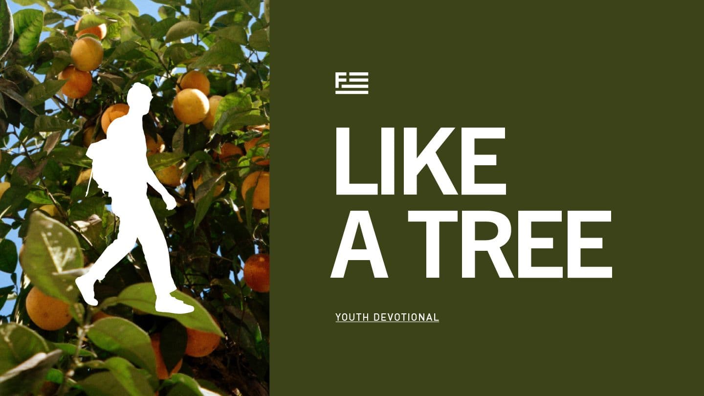 Like a Tree - Youth Devotional