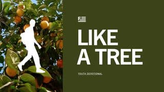 Like a Tree - Youth Devotional