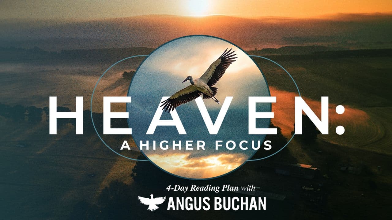 Heaven: A Higher Focus