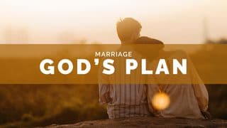 Marriage - God's Plan