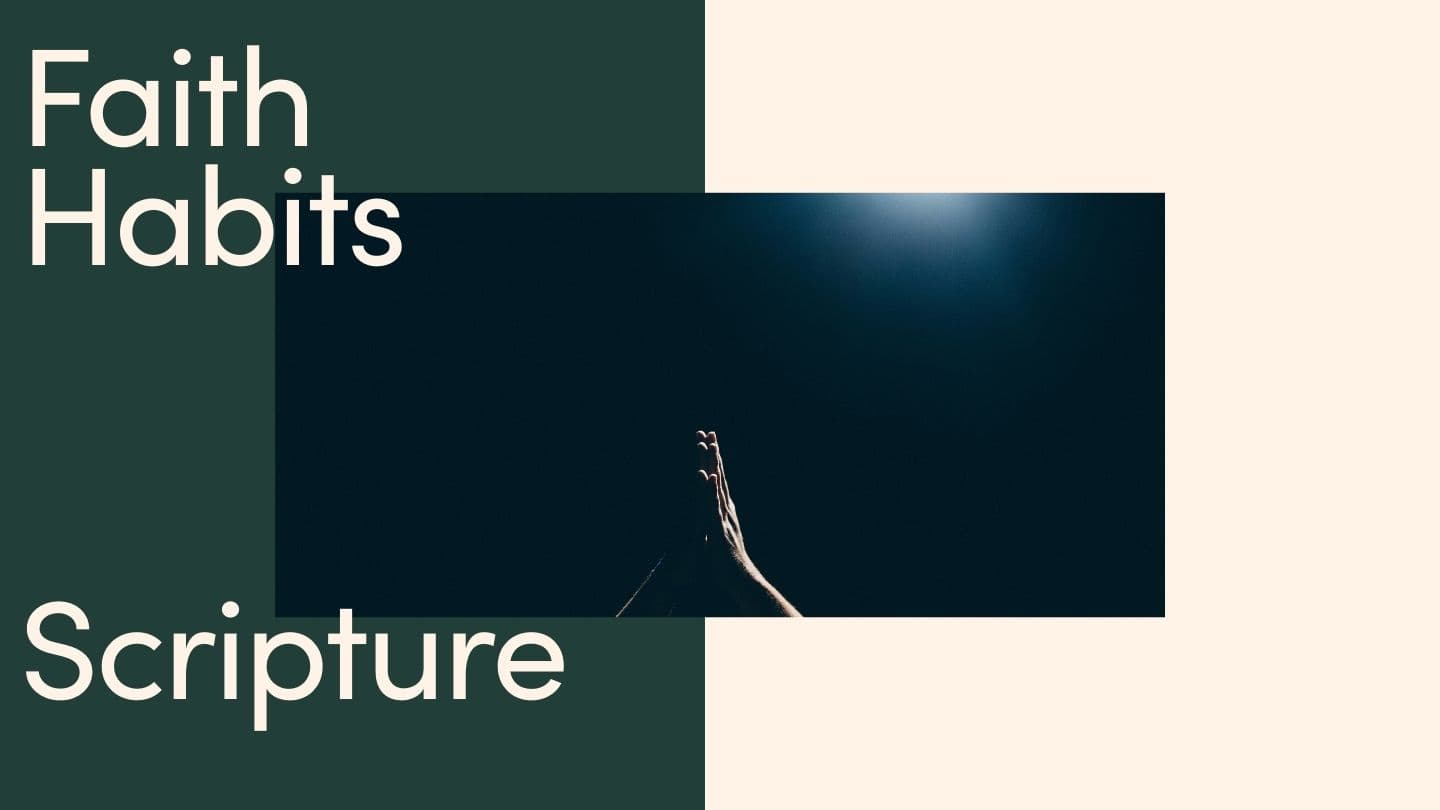 Faith Habits: Scripture Jean 5:39-40 La Bible du Semeur 2015