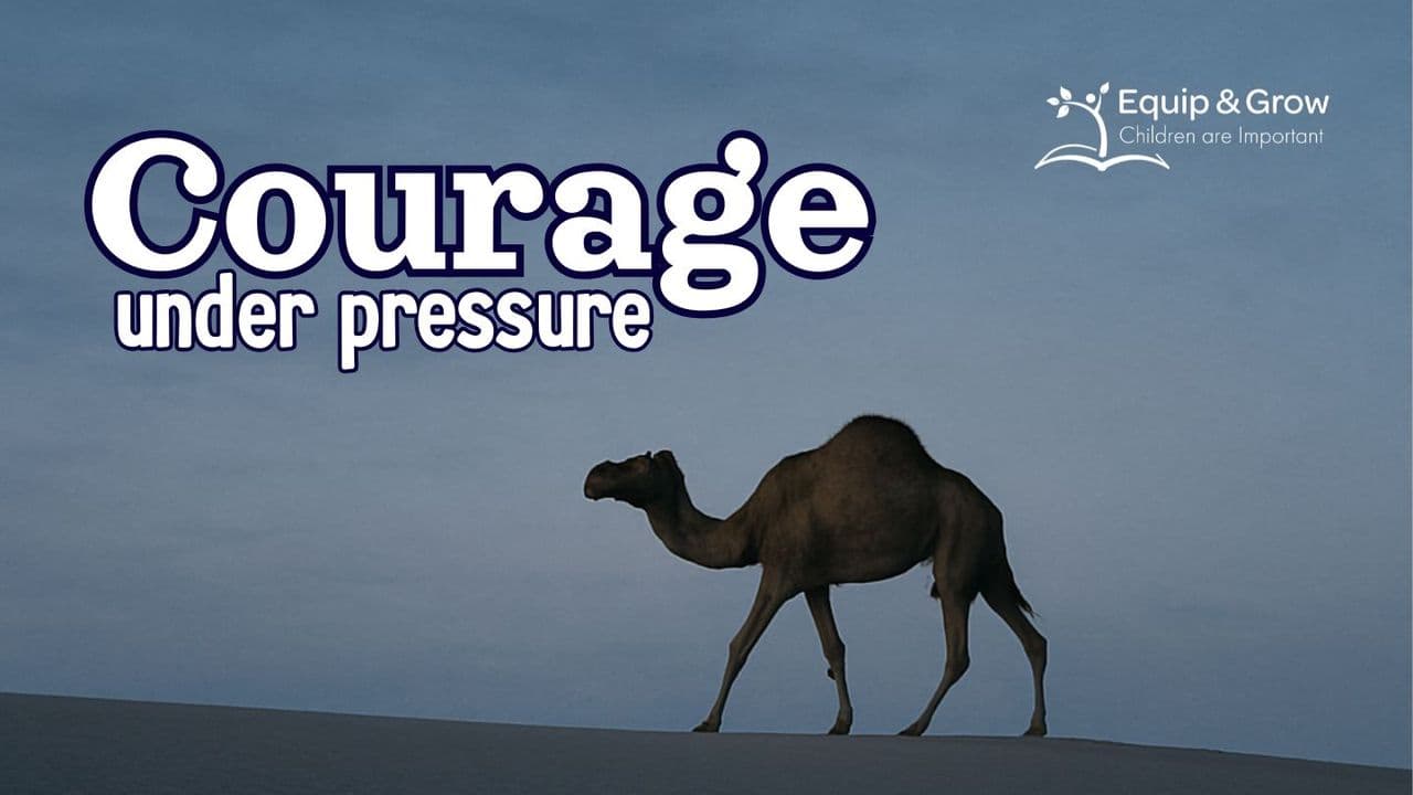 Courage Under Pressure