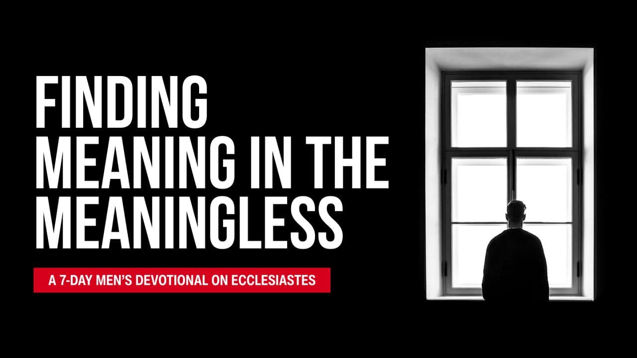 Meaning in the Meaningless