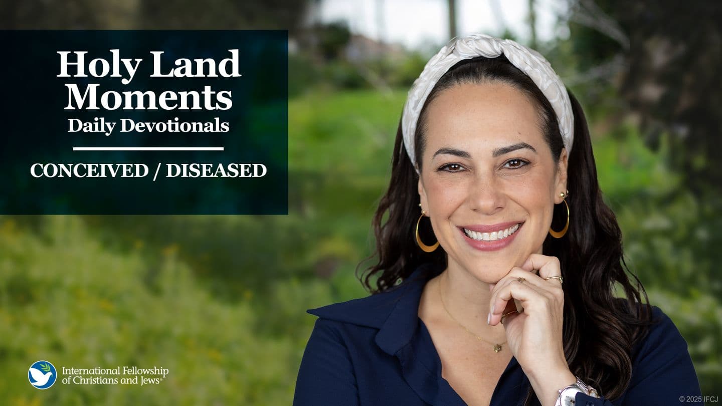 Conceived / Diseased