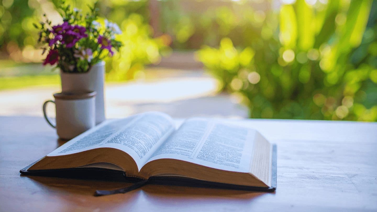 Quando a Palavra floresce: generosidade que sustenta a Missão 2 CORINTIOS 9:15 Biblia Reina Valera 1960