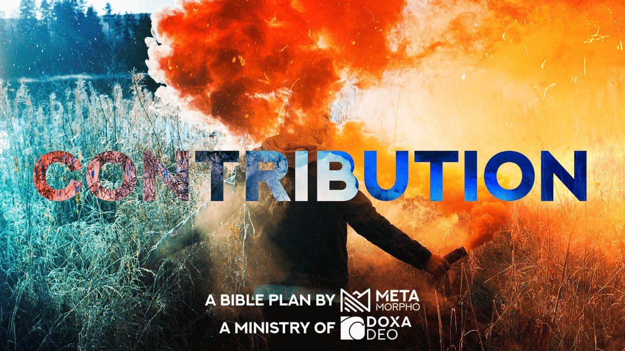 Contribution | Metamorpho