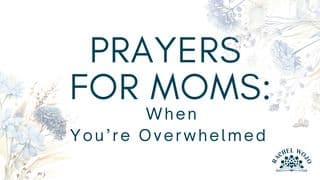 Prayers for Moms: When You're Overwhelmed 🙏