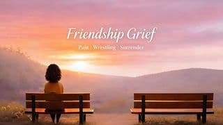 Friendship Grief