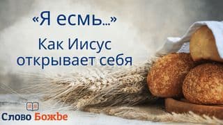 «Я есмь…» — как Иисус открывает Себя
