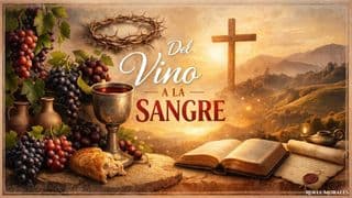 Del Vino a la Sangre