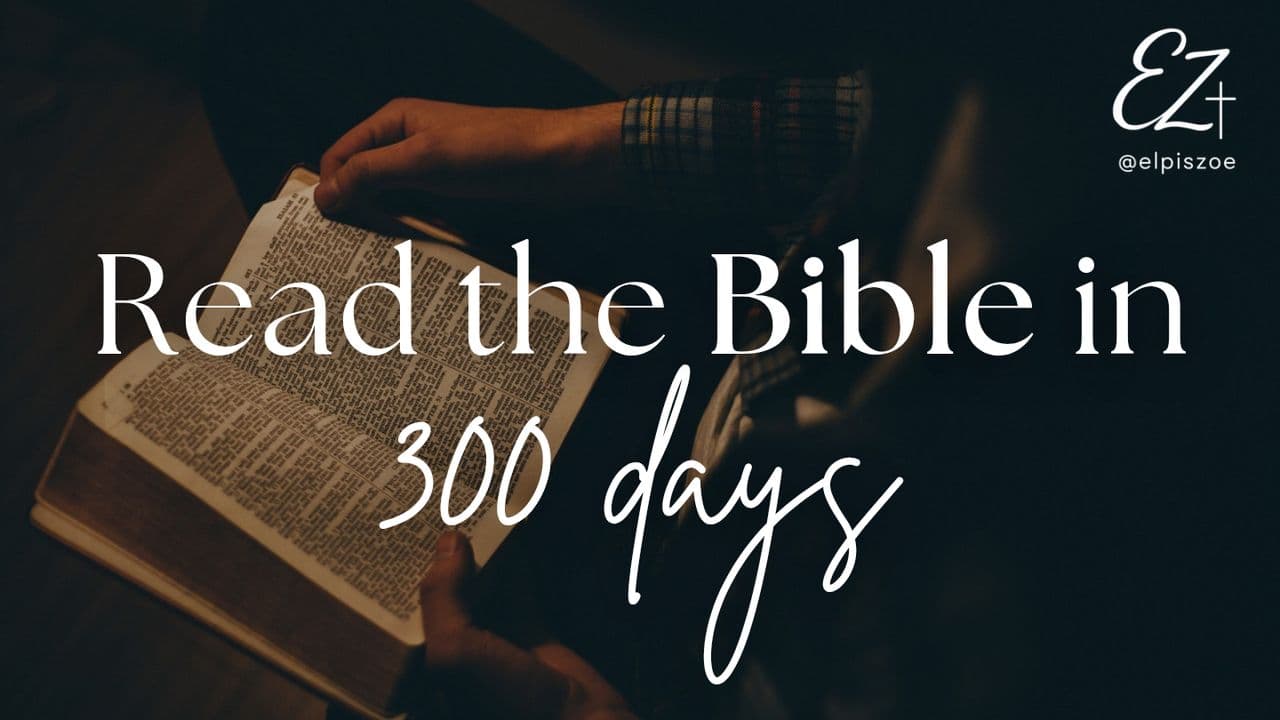 Read the Bible in 300 Days