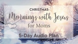 Mornings With Jesus for Christmas: A Five- Day Audio Devotional Plan for Moms