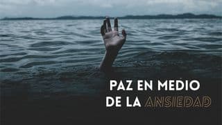 Paz En Medio De La Ansiedad