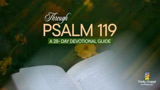 Psalms 119 28-Day Devotion