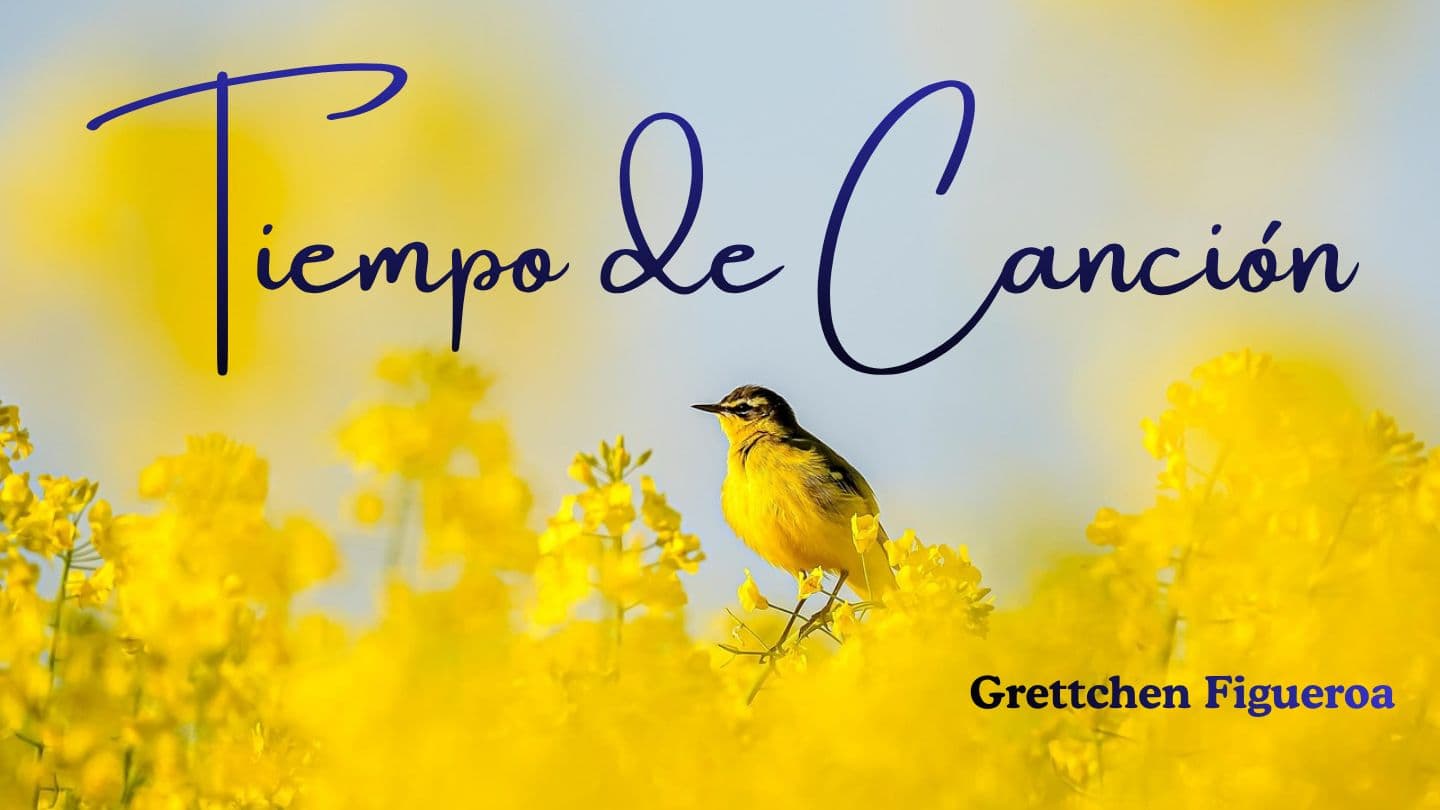 Tiempo De Canción Cantares 5:2-16 Nueva Versión Internacional - Español