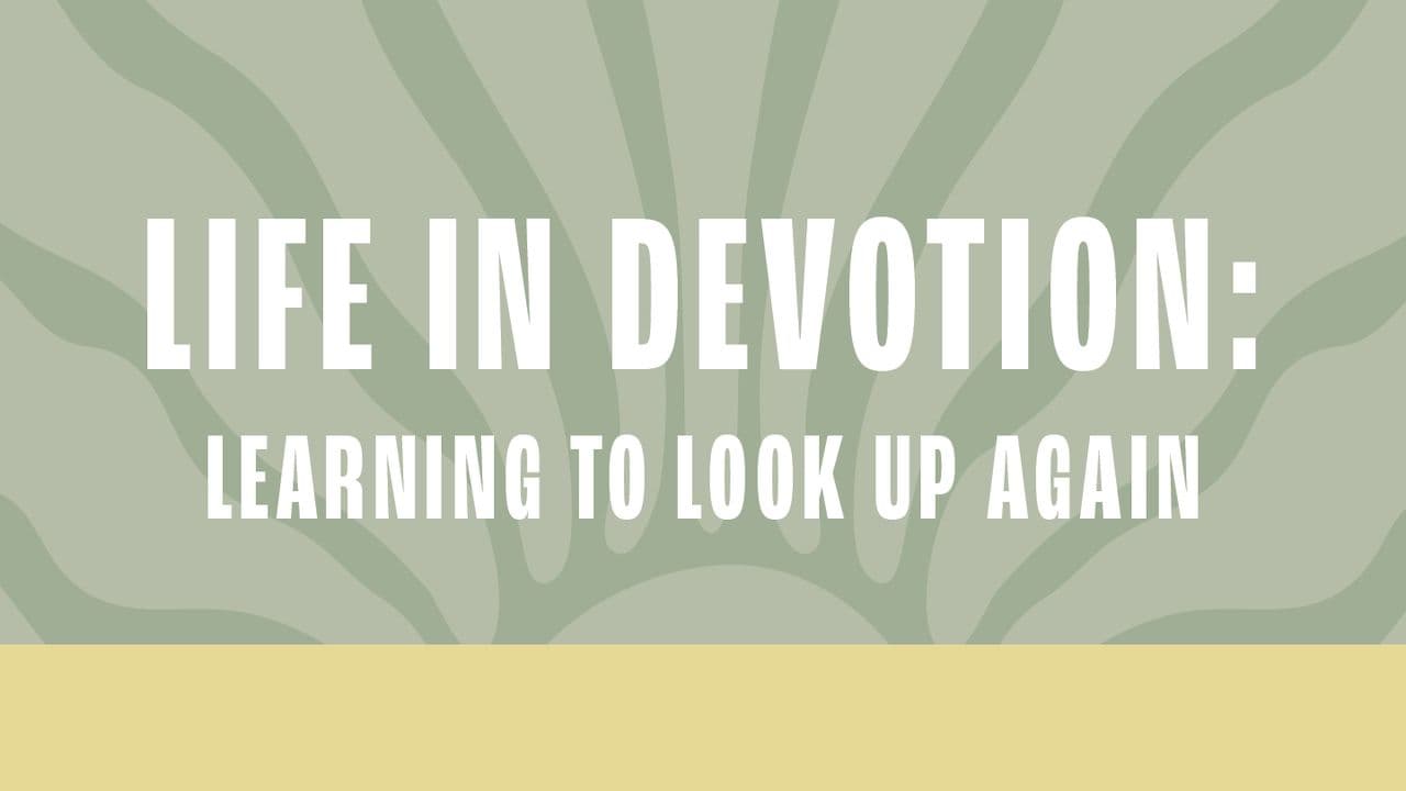 A Life in Devotion: Learning to Look Up Again