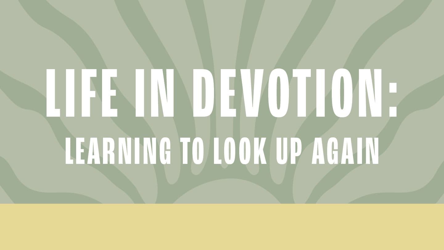 A Life in Devotion: Learning to Look Up Again