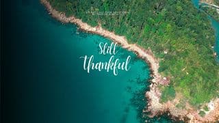 Still Thankful