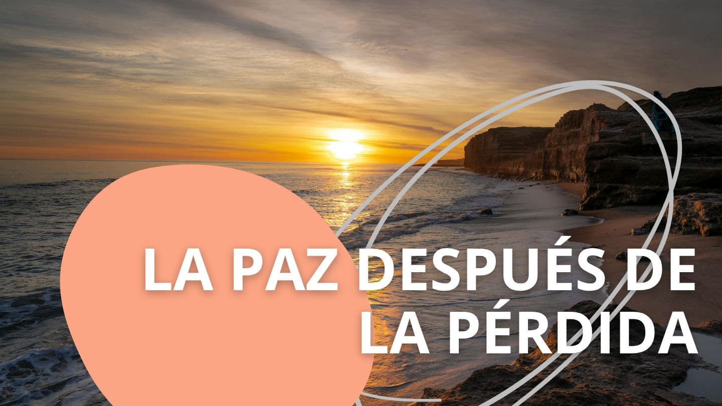 La Paz Después De Una Pérdida Salmos 119:28 Versión Biblia Libre