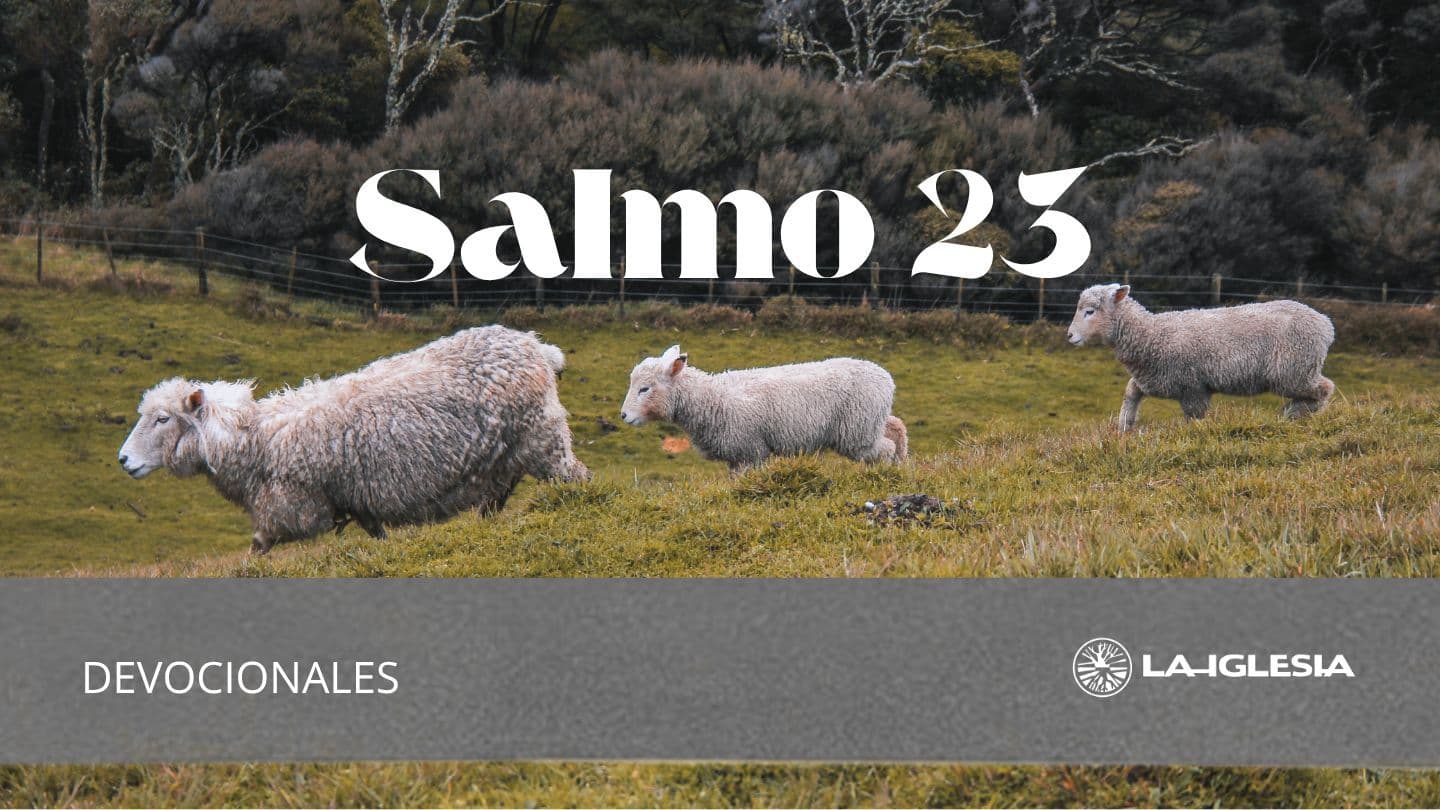 Salmo 23. Tengo Todo Lo Que Necesito