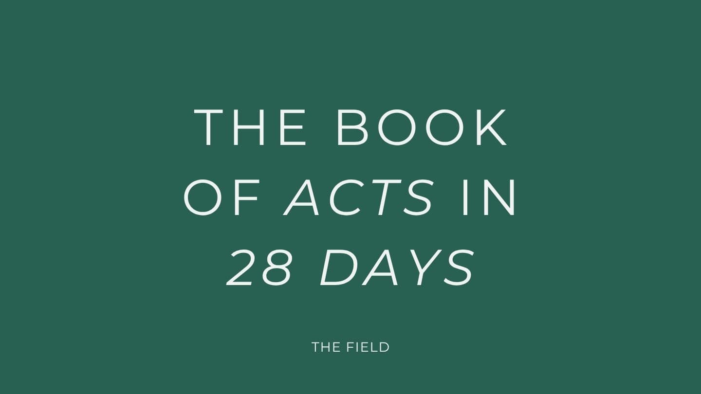 The Book of Acts in 28 Days