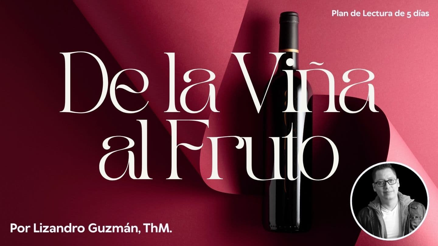 De La Viña Al Fruto