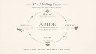 Abide: Learning to Stay Connected to Jesus in Every Season