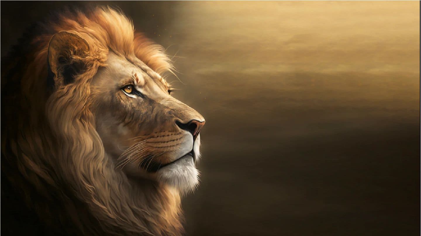 YESHUA HAMASHIACH - O ÚNICO DEUS! John 11:25-26 Christian Standard Bible