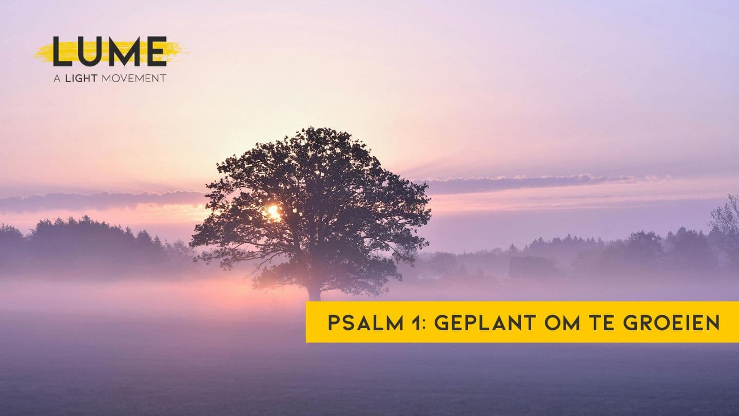 Wees als een boom: geplant om te groeien Psalm 1:1-2 Herziene Statenvertaling
