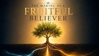 The Making of a Fruitful Believer