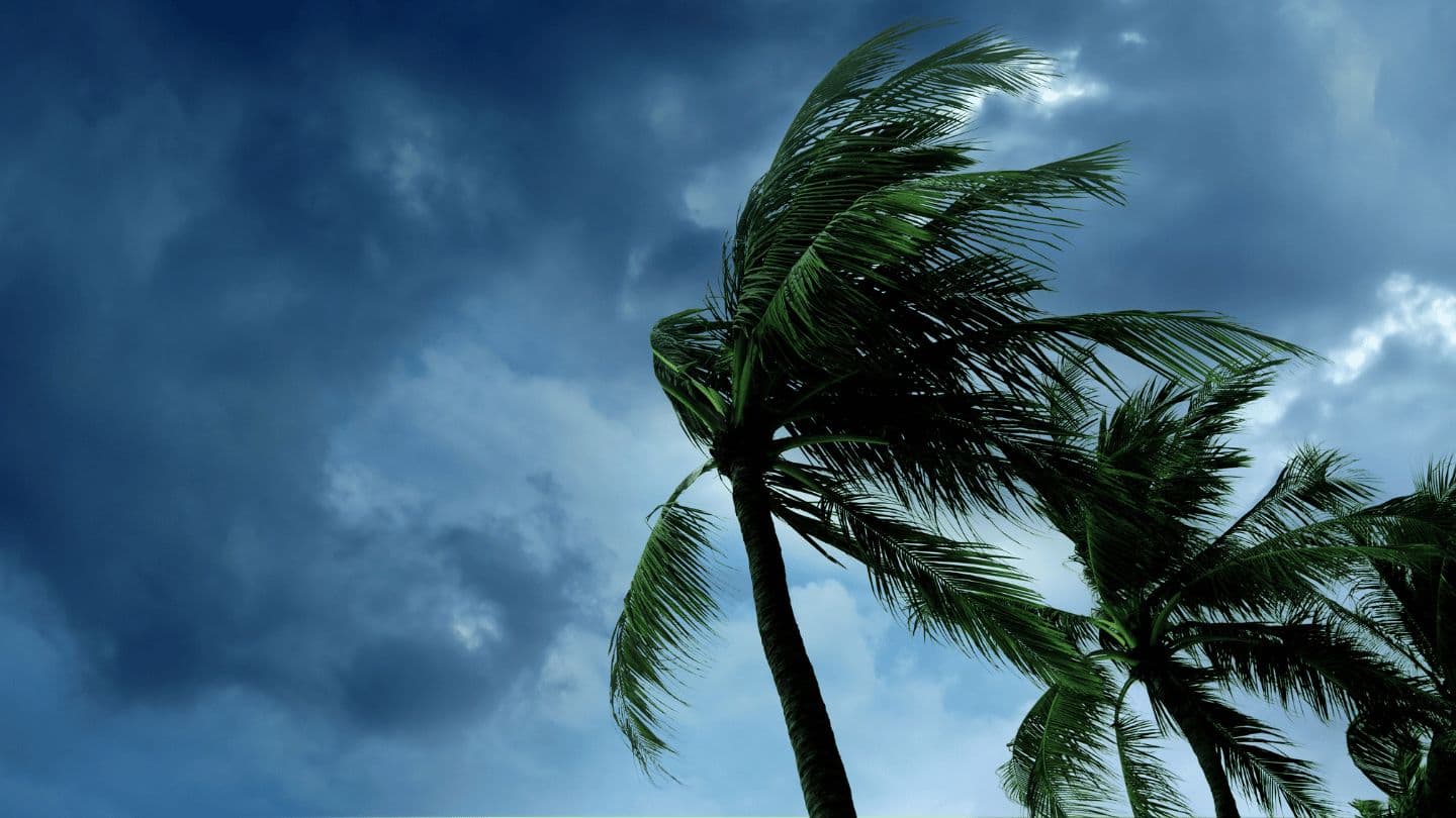 God in the Storm Psalms 46:9 Christian Standard Bible