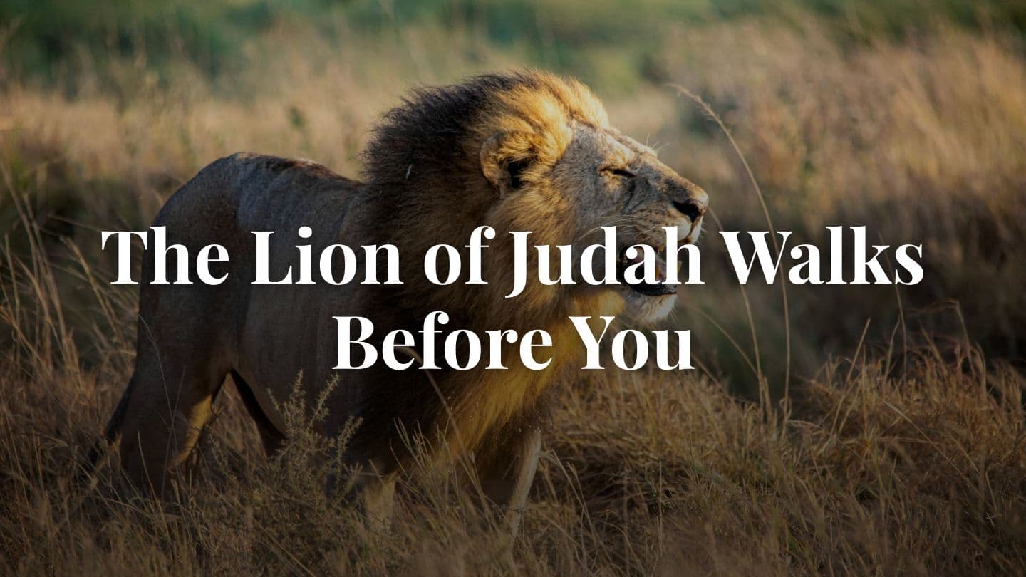 The Lion of Judah Walks Before You, with Eric Célérier ୱେ଼ ବ଼ଲୁ 5:5 Kuvi Bible, 2025