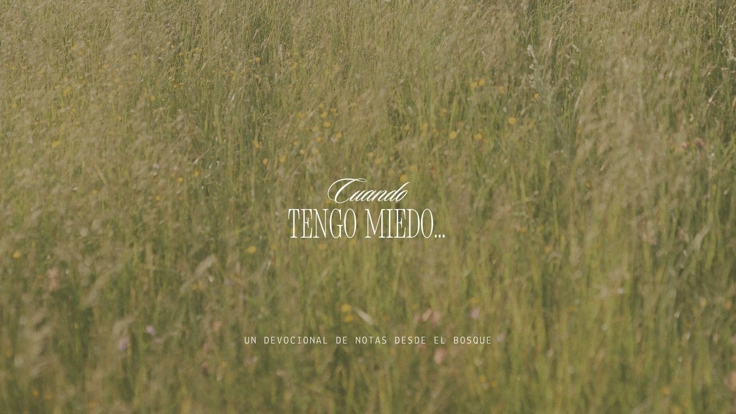 Cuando Tengo Miedo...