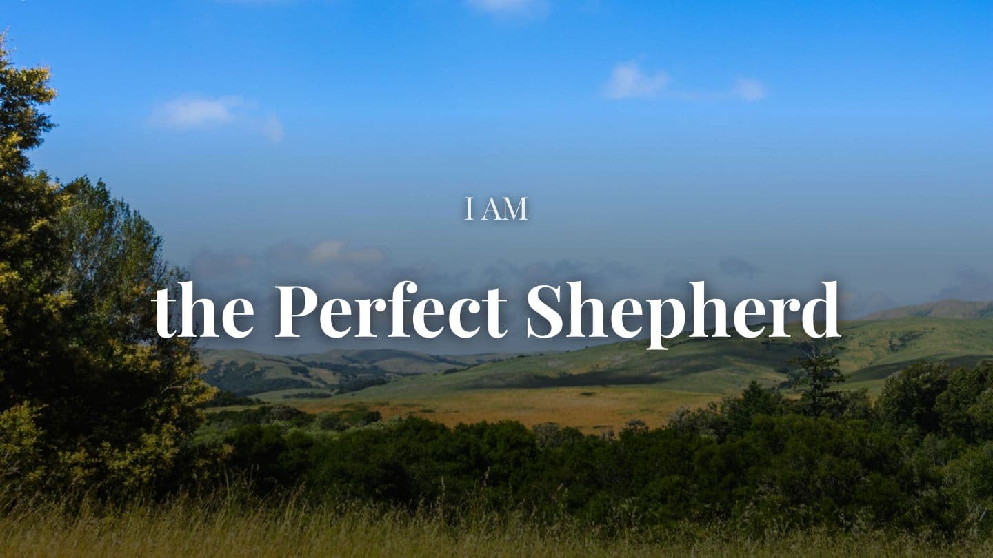 I Am the Perfect Shepherd, with Eric Célérier John 10:4-5 American Standard Version