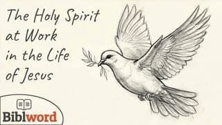 The Holy Spirit at Work in the Life of Jesus